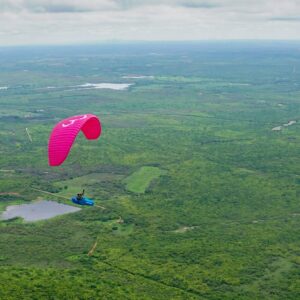 Littlecloud Gracchio Mk3