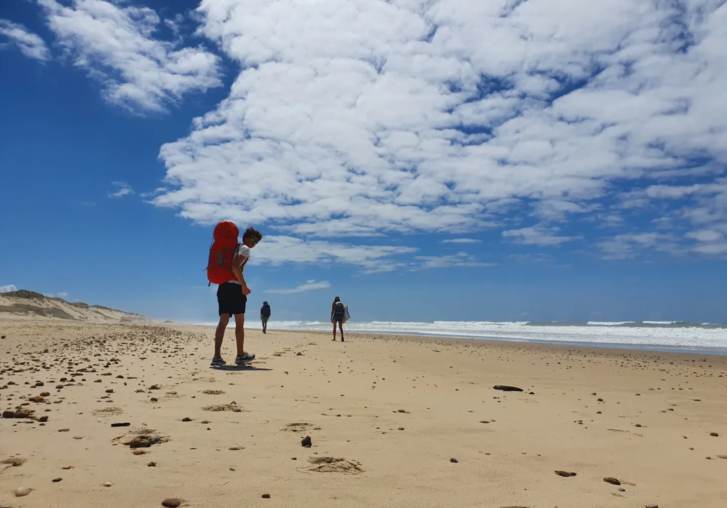 Paraglider boven het duin